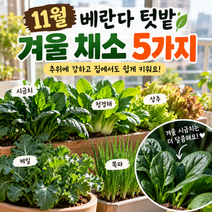 11월은 수확만 하는 달일까? 추위에 강한 베란다 겨울 채소 5가지 썸네일